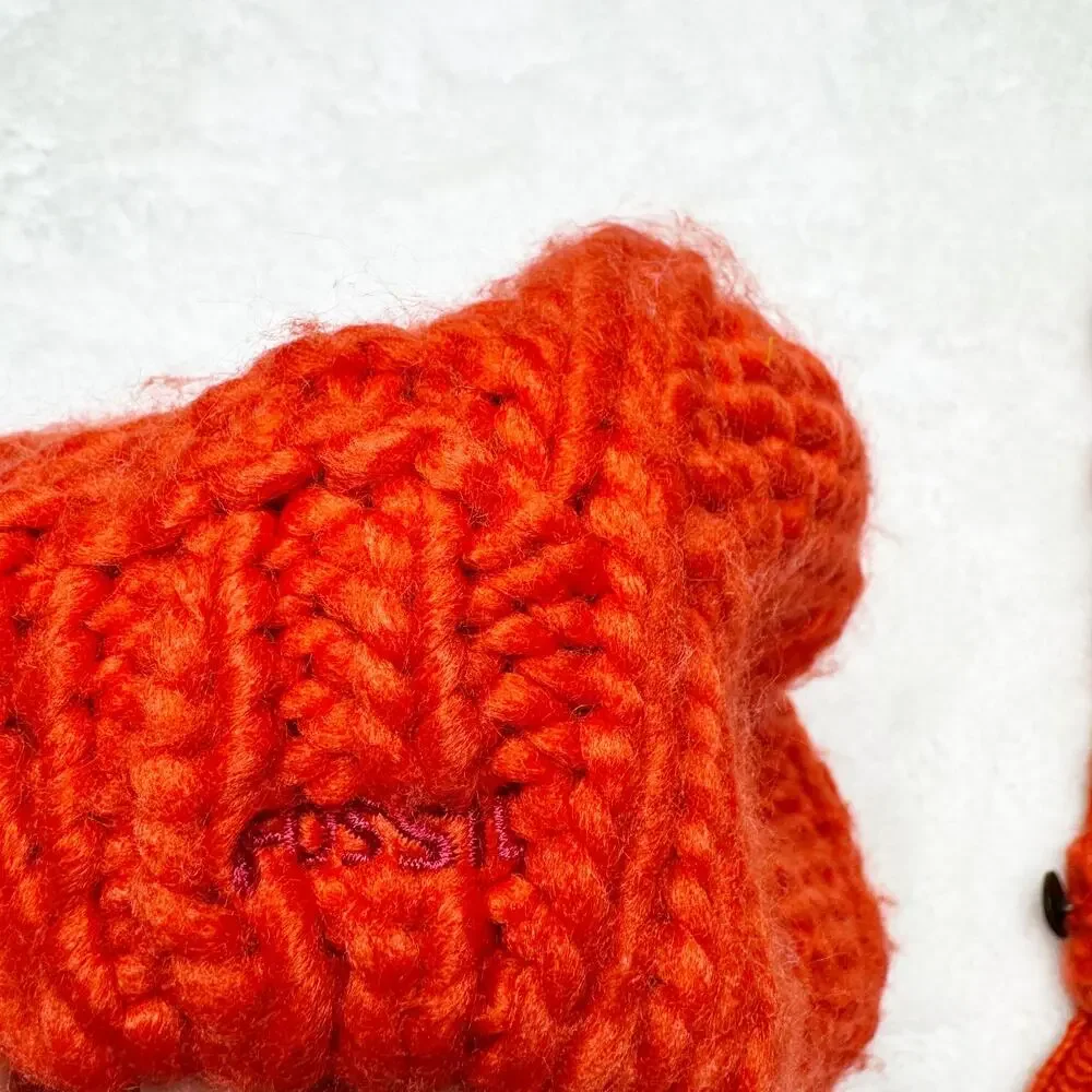 FOSSIL Orange Winter Knit Pom-pom Hat & Gloves Matching Cold Weather Set